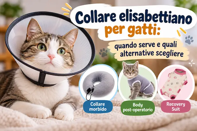 Collare elisabettiano per gatti e alternative post-operatorie