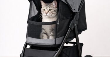 Passeggino per gatti