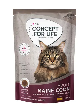 maine coon adult concept for life
