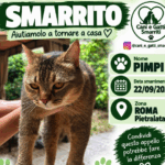 Smarrito - Pimpi