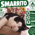 Smarrito - Charlie
